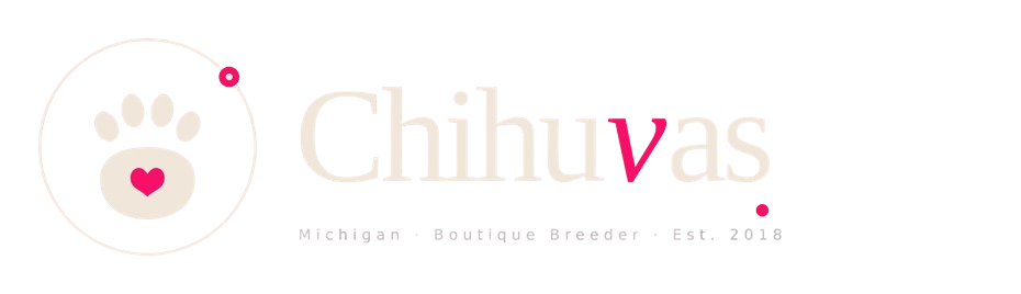 chihuvas.com