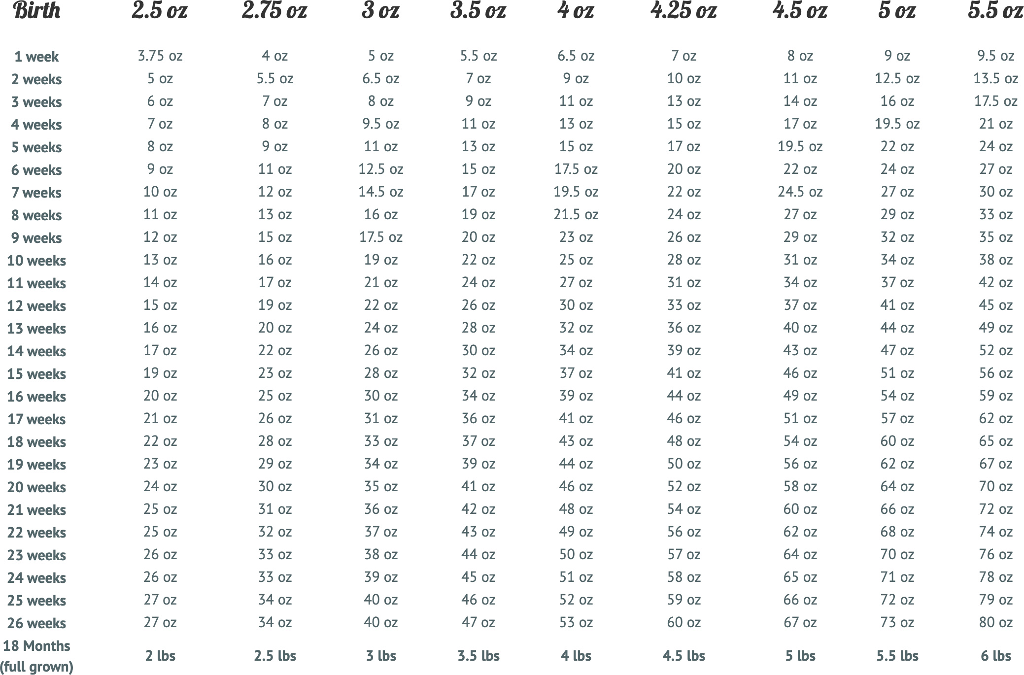 Chihuahua weight chart showing a healthy chihuahua standing on a small digital scale demonstrating proper weight monitoring for the breed